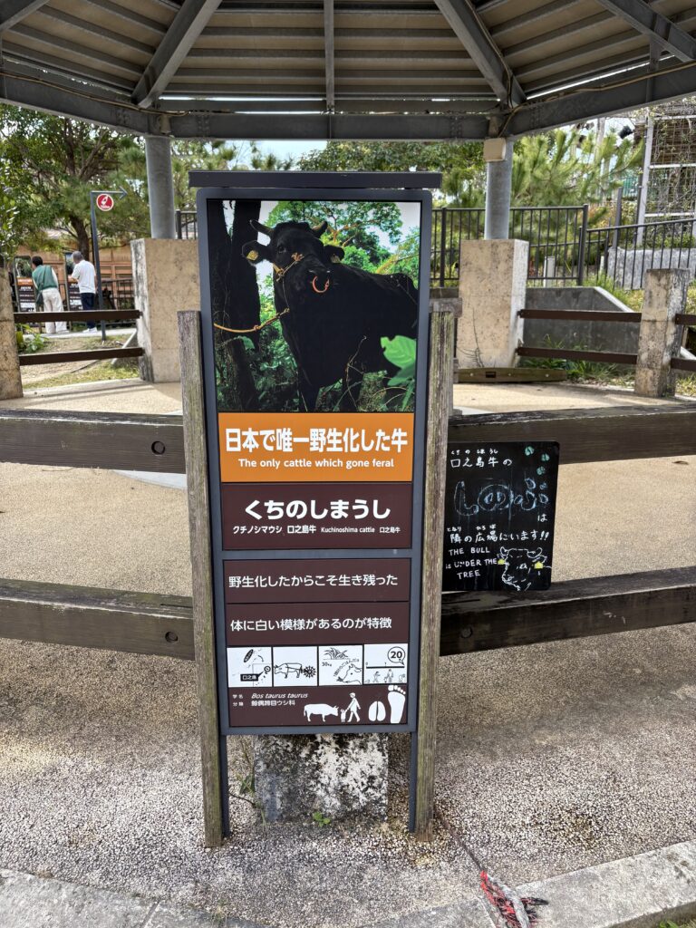沖縄こどもの国【ネット調査】