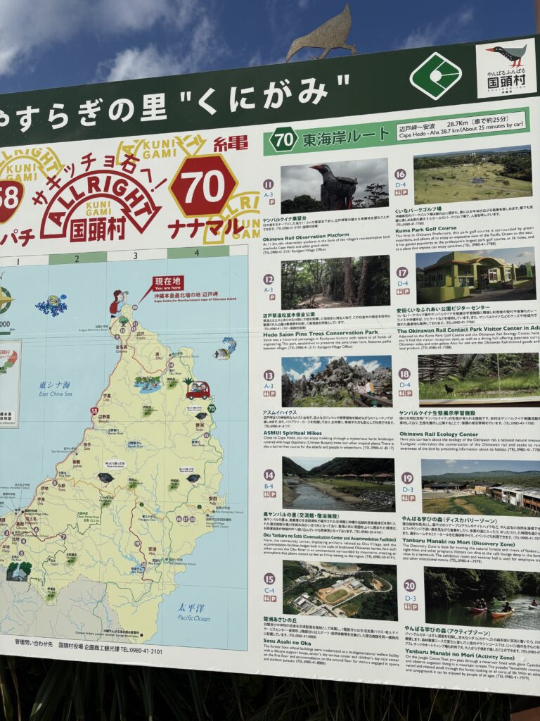 辺戸岬【ネット調査】