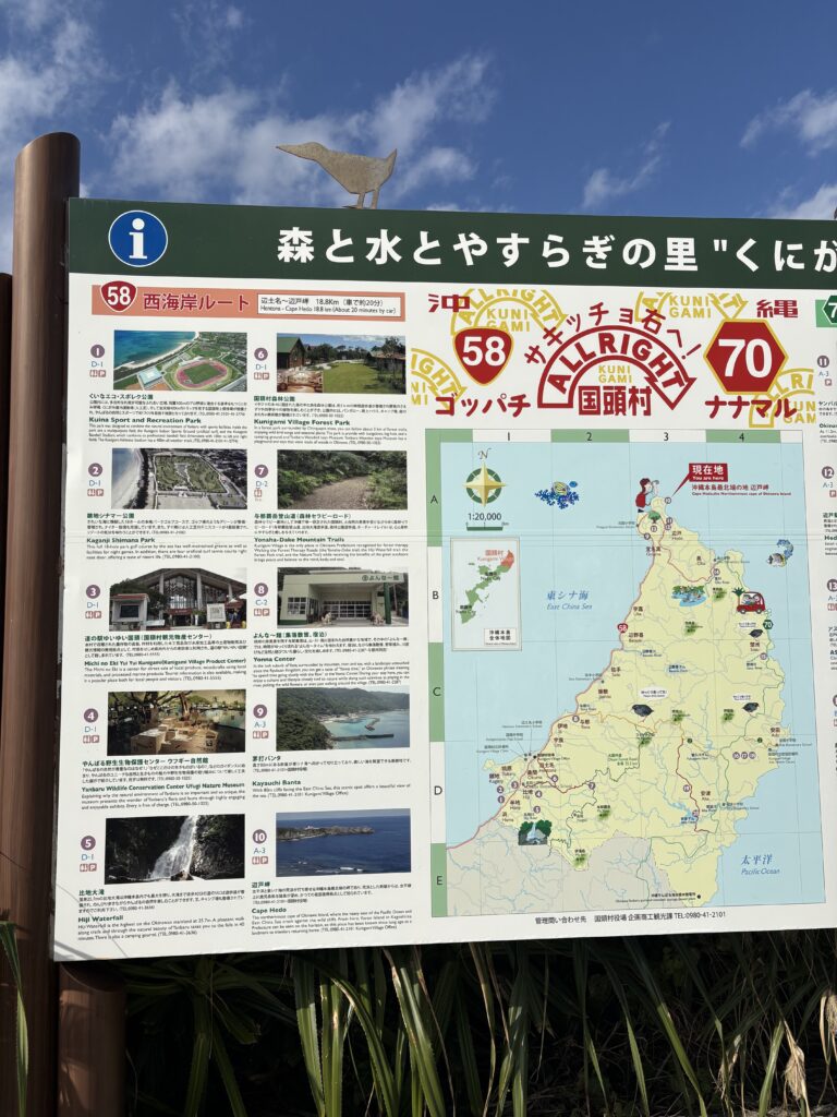辺戸岬【ネット調査】