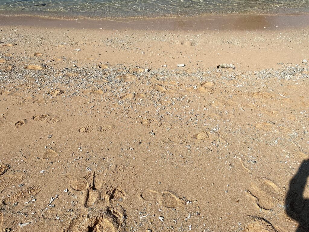 古宇利島 ハートロック【ネット調査】