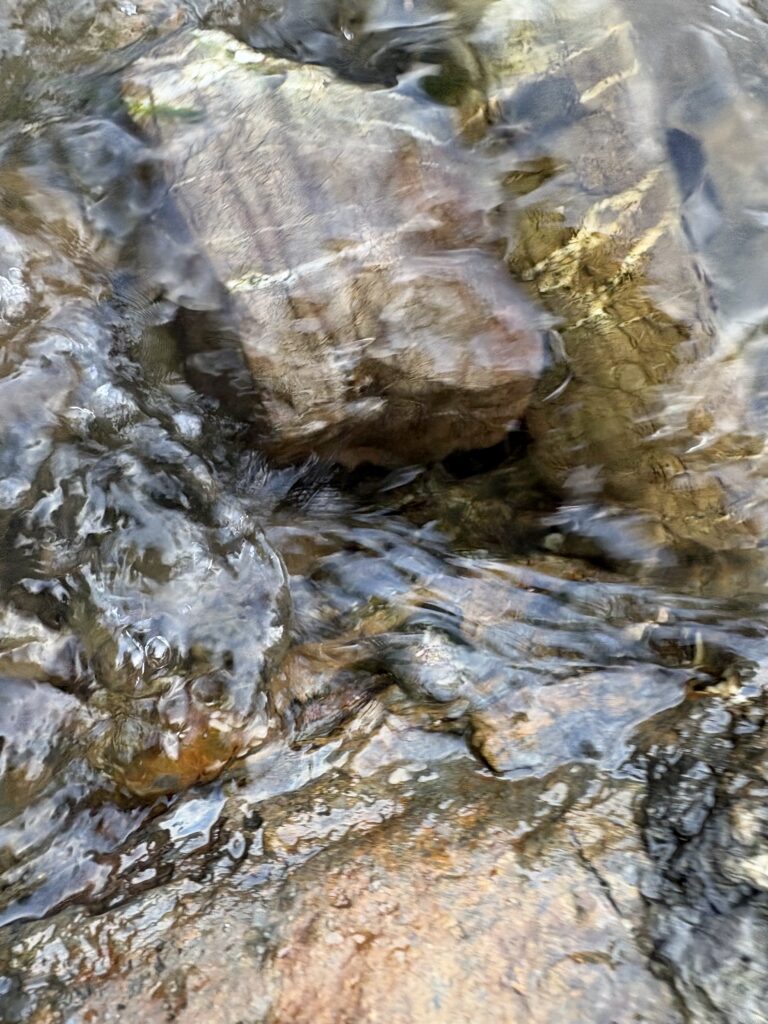 天仁屋海岸