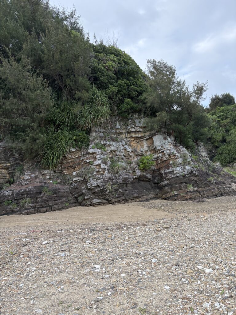 天仁屋海岸