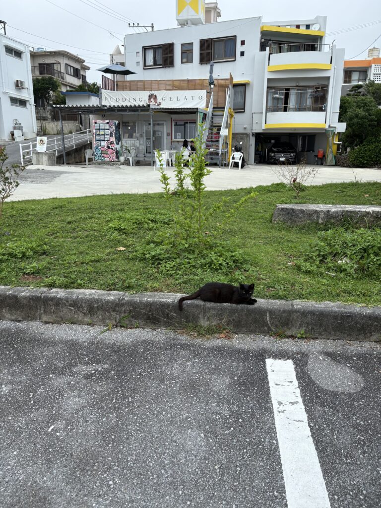 奥武島しまねこぷりん前のくつろぐ黒猫