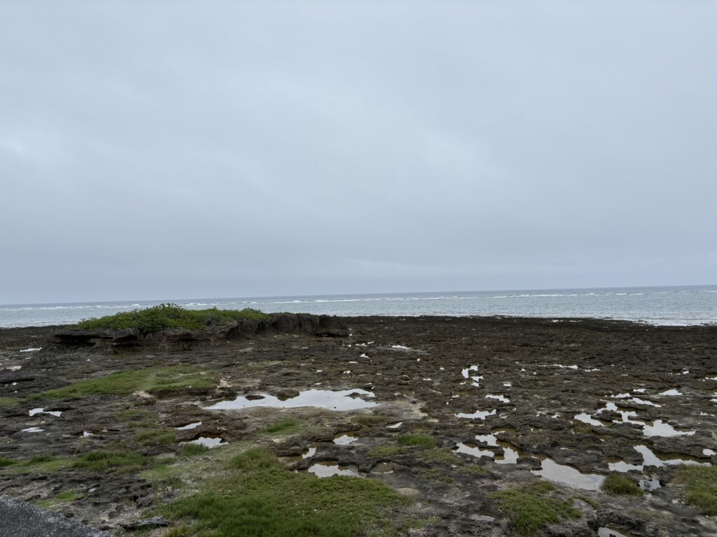 奥武島の潮が引いた岩場と水たまり