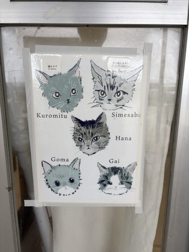 奥武島しまねこぷりんの可愛い猫イラスト
