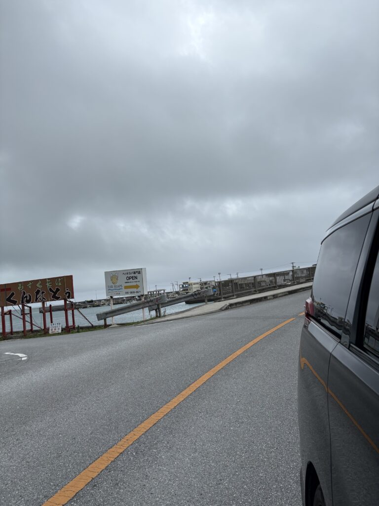 愛車アルファードと中本鮮魚店前の賑わい