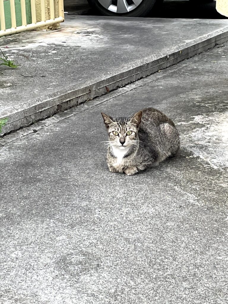 うみちか食堂 その他