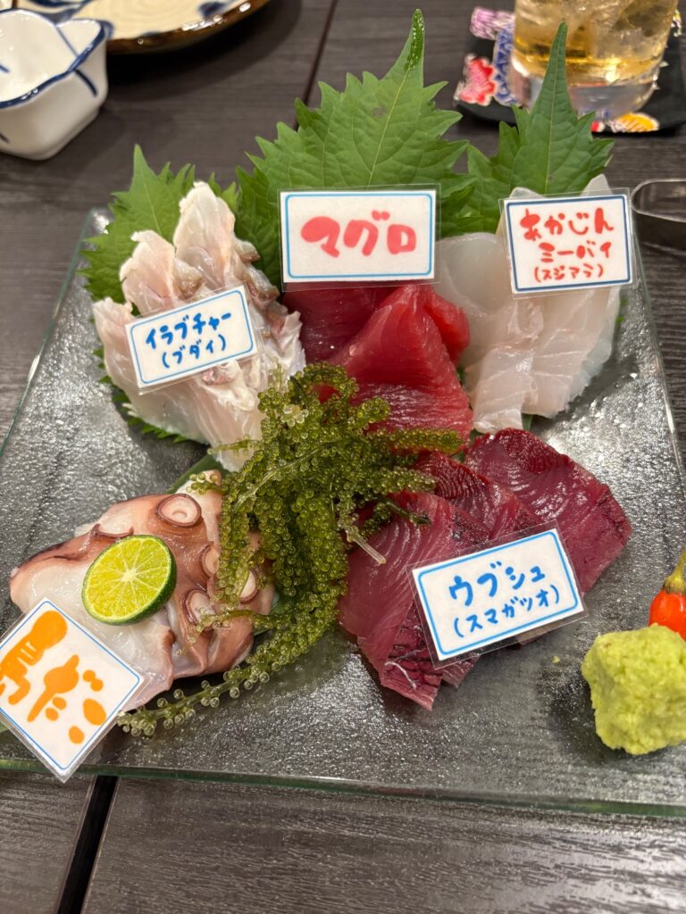 島魚が楽しめる鮮魚お造り盛り合わせ