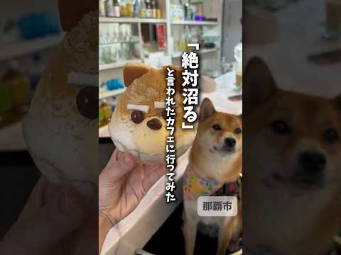 ワンチョカフェ